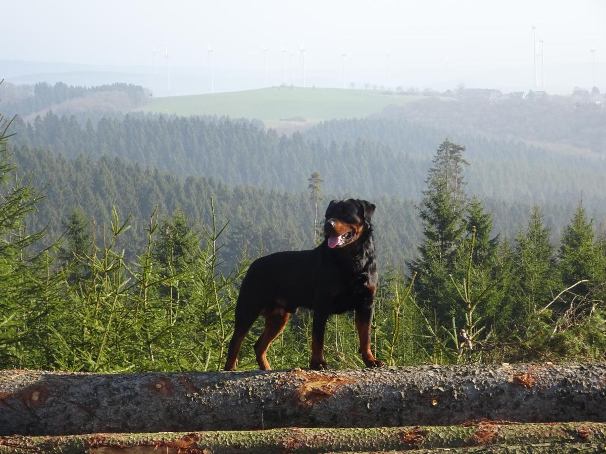 Ferienwohnung Urlaub Mit Hund Auf Dem Bauernhof Hofswald Euscheid Exterior foto