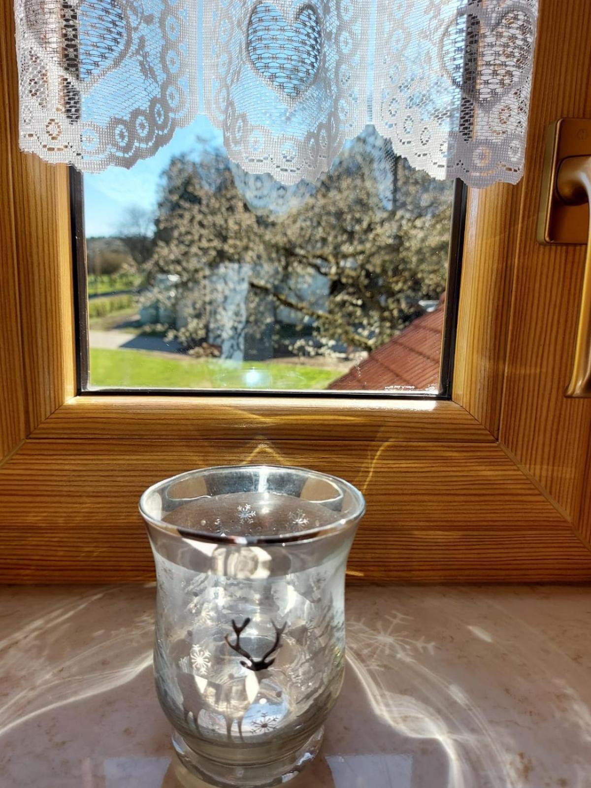 Ferienwohnung Urlaub Mit Hund Auf Dem Bauernhof Hofswald Euscheid Exterior foto